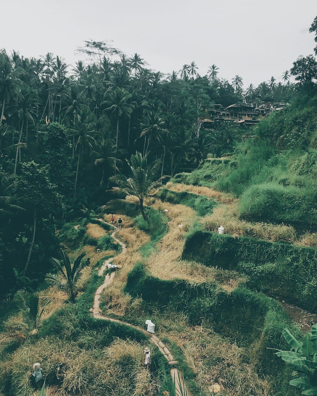 Bali - a trending destination on Tabi