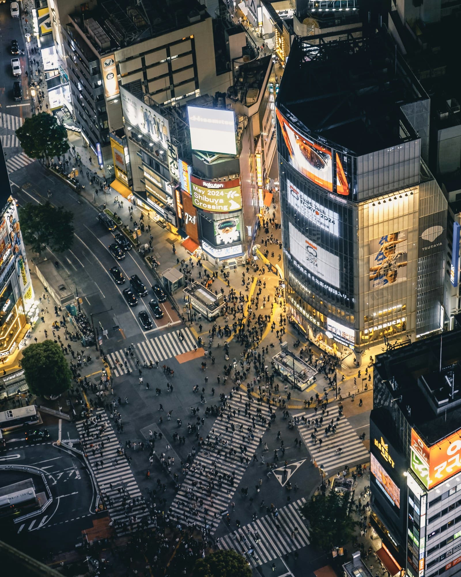 Tokyo Skyline